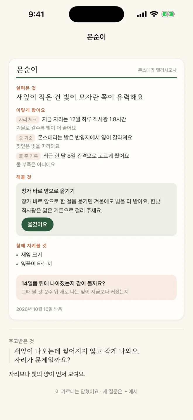 카르테 소견서 화면 — 살펴본 것, 이렇게 봤어요, 해볼 것, 함께 지켜볼 것